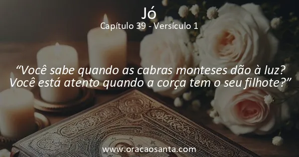 Jó 39:1
