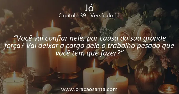 Jó 39:11