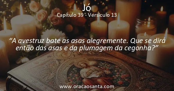 Jó 39:13