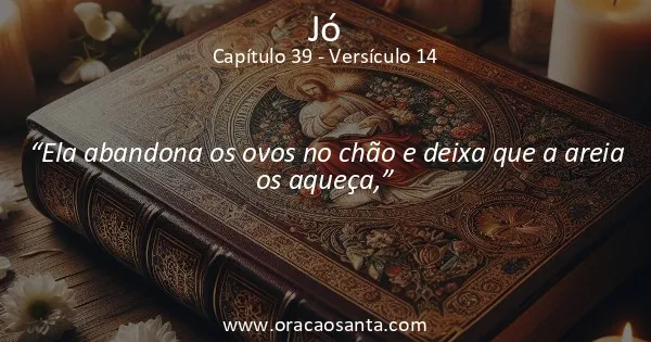 Jó 39:14