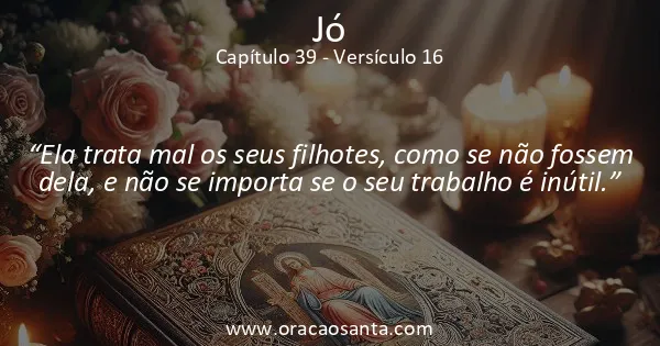 Jó 39:16