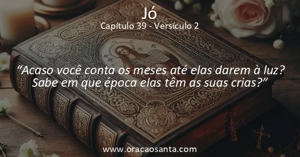 Jó 39:2