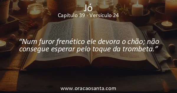 Jó 39:24