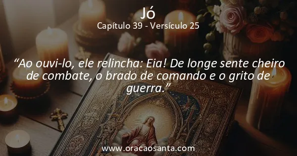 Jó 39:25