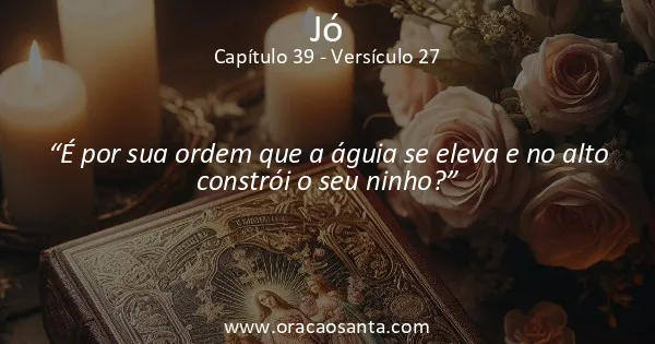 Jó 39:27