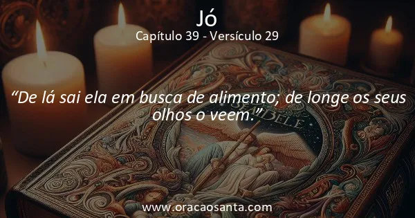 Jó 39:29