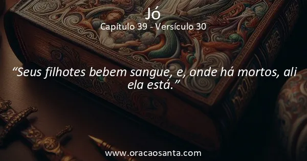 Jó 39:30