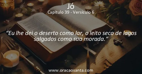 Jó 39:6