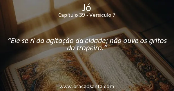 Jó 39:7