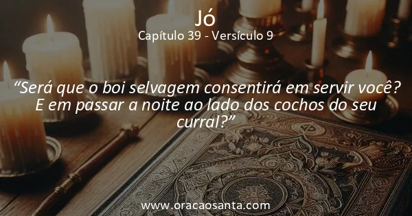 Jó 39:9