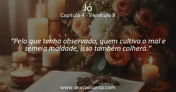 Jó 4:8