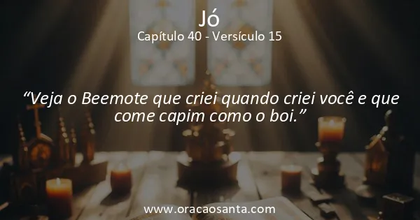 Jó 40:15