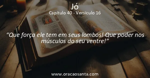 Jó 40:16