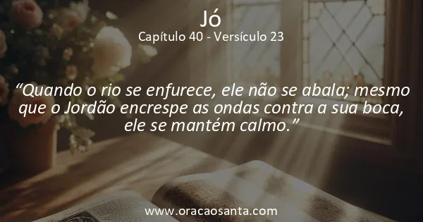 Jó 40:23