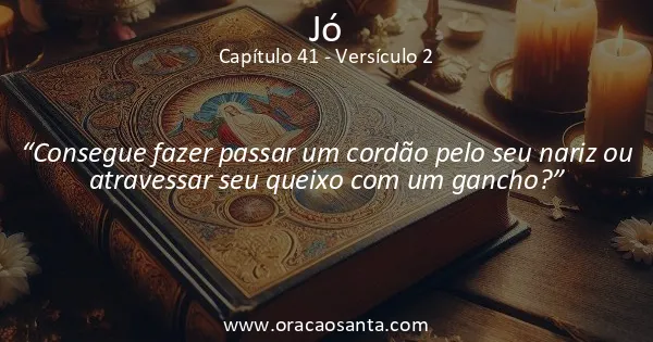 Jó 41:2