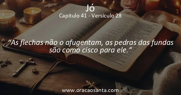 Jó 41:28