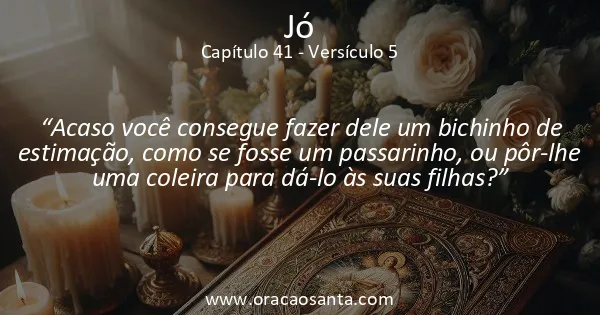 Jó 41:5