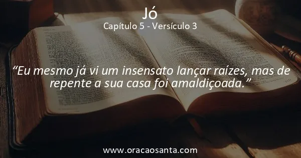 Jó 5:3
