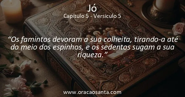 Jó 5:5