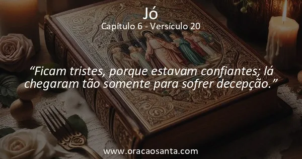 Jó 6:20