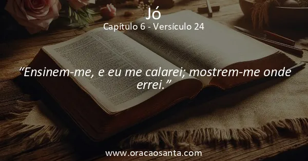 Jó 6:24