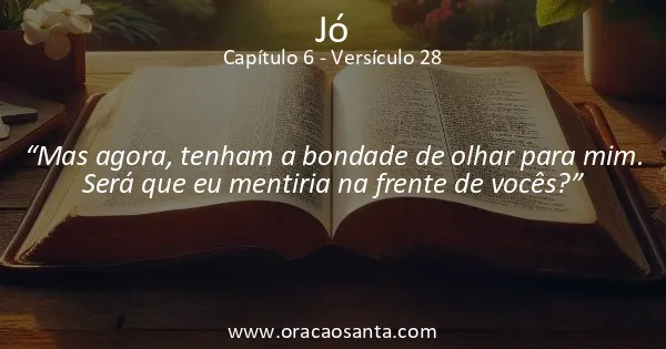 Jó 6:28