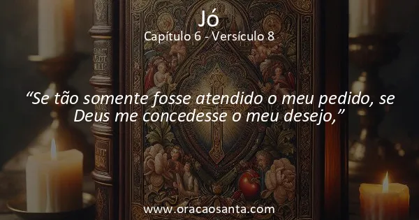 Jó 6:8