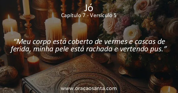 Jó 7:5
