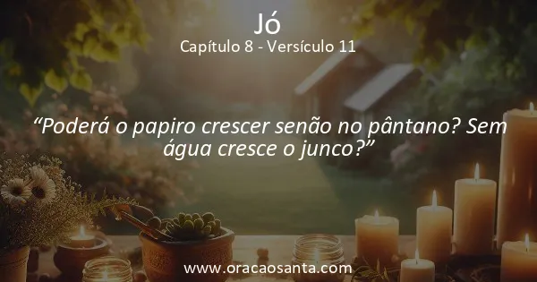 Jó 8:11