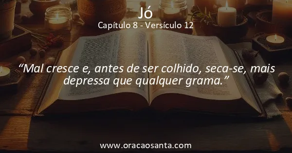 Jó 8:12