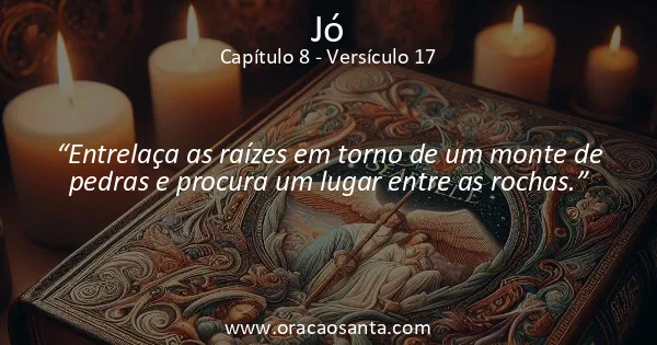 Jó 8:17