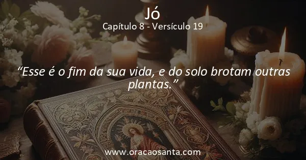 Jó 8:19