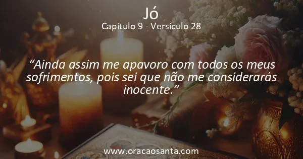 Jó 9:28