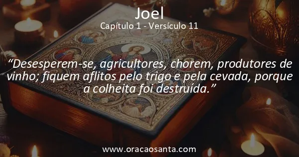 Joel 1:11