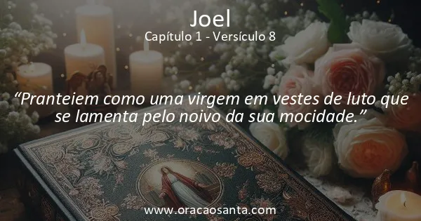 Joel 1:8