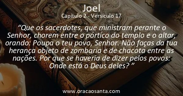 Joel 2:17