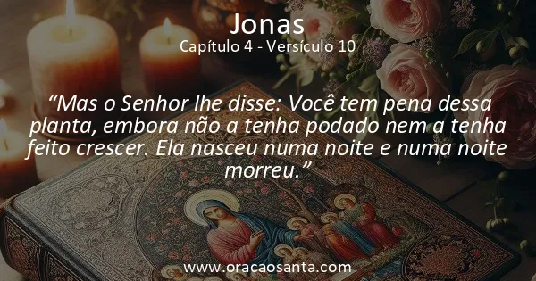 Jonas 4:10