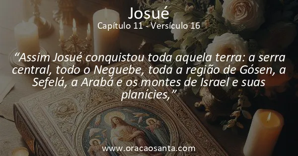 Josué 11:16