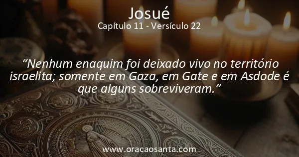 Josué 11:22