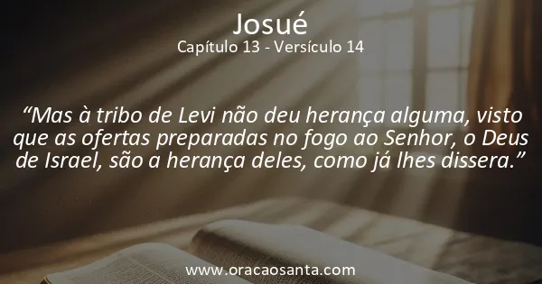 Josué 13:14