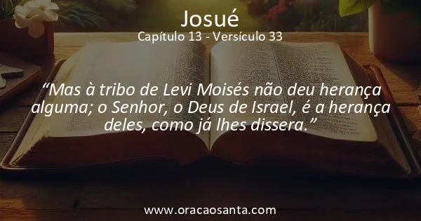 Josué 13:33
