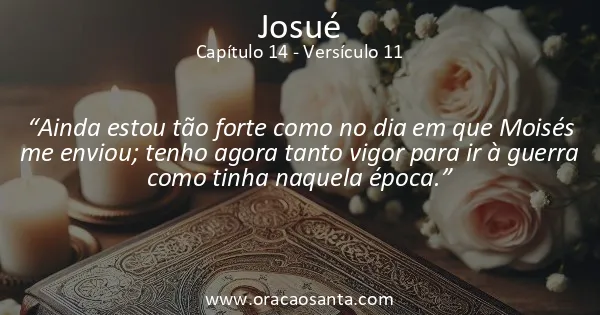 Josué 14:11