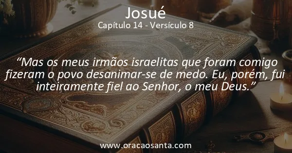 Josué 14:8