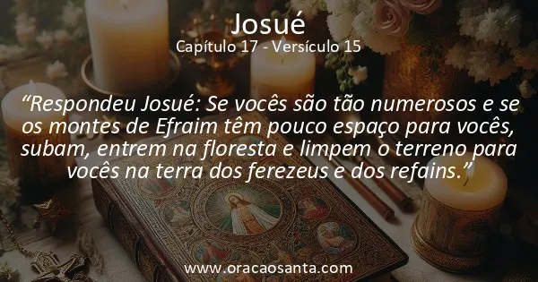 Josué 17:15