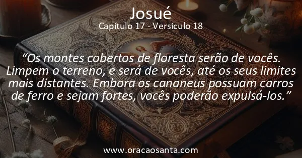 Josué 17:18