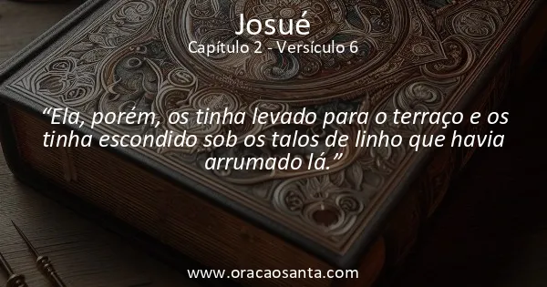 Josué 2:6