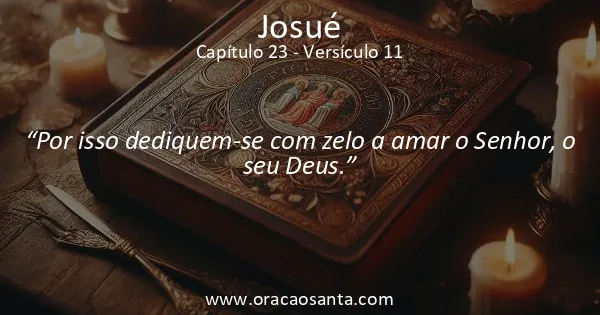 Josué 23:11