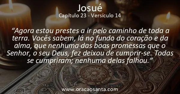 Josué 23:14