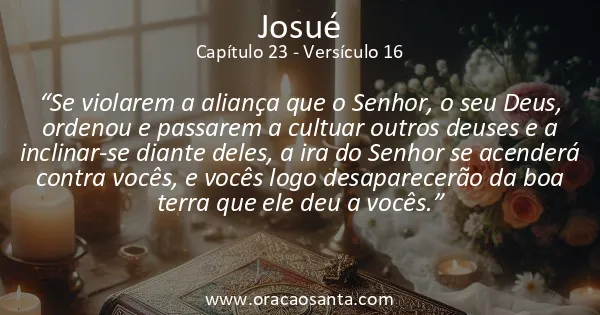 Josué 23:16