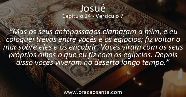 Josué 24:7